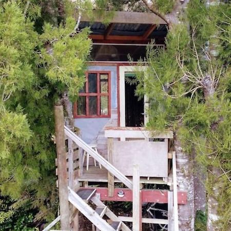 فندق The Treehut At The Rabbithole, Upper Hutt Akatarawa المظهر الخارجي الصورة